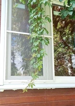 Новый альбом - 10